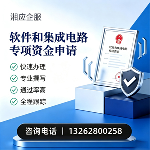 新疆软件和集成电路专项资金申报服务