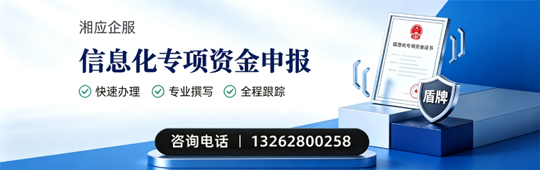 新疆信息化专项资金申报服务