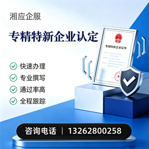 新疆专精特新企业申报服务