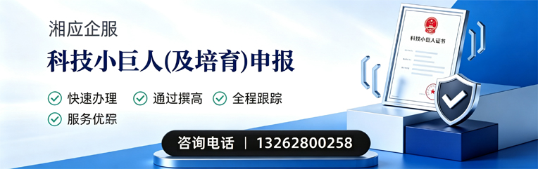 新疆科技小巨人及培育企业申报服务