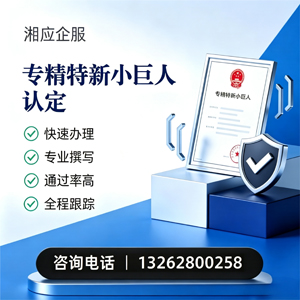 新疆专精特新小巨人申报服务