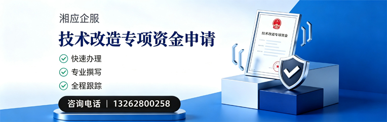 新疆技术改造专项资金申报服务