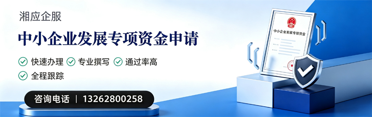 新疆中小企业发展专项资金申报服务