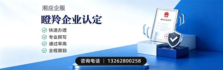 新疆瞪羚企业认定申报服务