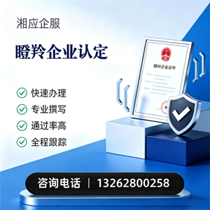 新疆瞪羚企业认定申报服务