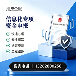新疆信息化专项资金申报服务