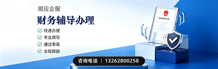 新疆财务辅导申请服务
