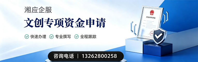 新疆文创专项资金申报服务