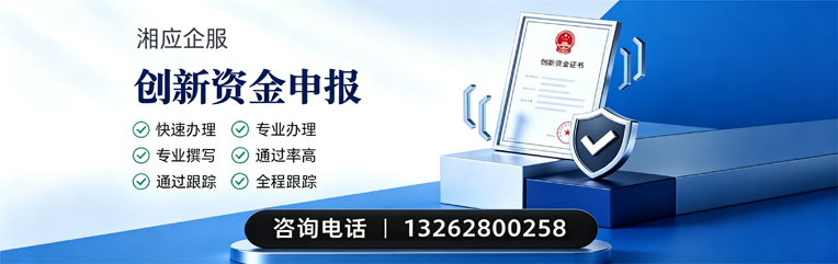 新疆创新资金申报服务