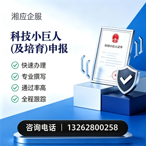 新疆科技小巨人及培育企业申报服务