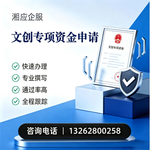 新疆文创专项资金申报服务