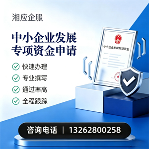 新疆中小企业发展专项资金申报服务