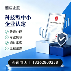 新疆科技型中小企业认定申报服务