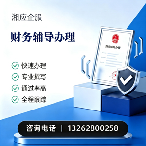 新疆财务辅导申请服务