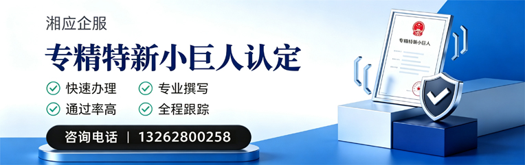 新疆专精特新小巨人申报服务